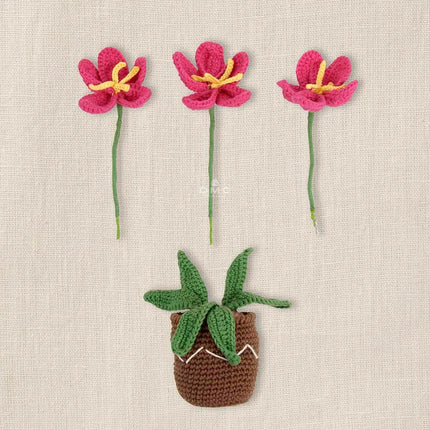 Haakpakket Amigurumi-kit Bloemen | DMC
