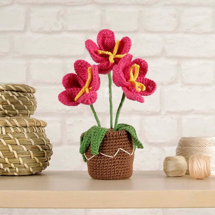 Haakpakket Amigurumi-kit Bloemen | DMC