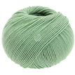 Groen 2078