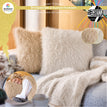 Beige 3 + Schelp 43