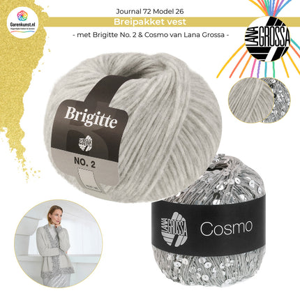 Bolletjes garen combinatie Brigitte No. 2 kleur Zilvergrijs en Cosmo kleur Lichtgrijs garen voor vest Model 26 Journal 72