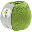 Lentegroen 30